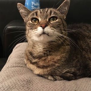 Meet your Posher, Jacqueline